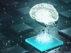 Алгоритм нейронной сети оптимизирует размещение датчиков в мягких роботах