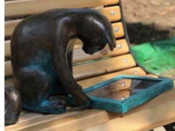 В Одесі невідомі вкрали кота-геймера