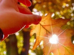 Гороскоп на 19 жовтня 2022 року: що обіцяють астрологи