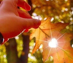 Гороскоп на 19 жовтня 2022 року: що обіцяють астрологи