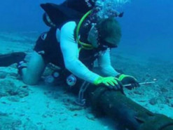 Правительство США расследует попытку взлома подводного кабеля у берегов Гавайев