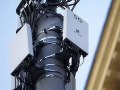 Ученые планируют подключать деревья к 5G