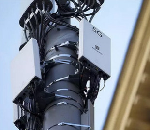 Ученые планируют подключать деревья к 5G