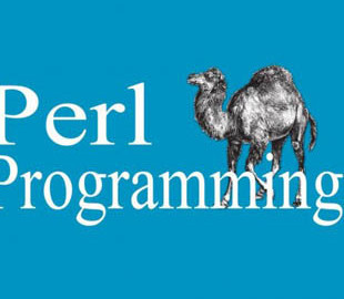 Украден домен одного из известных языков программирования