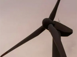 Вирішує важливу проблему: розроблено вітряну турбіну з дерев'яними лопастями