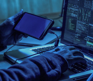 Украинская IT-армия "положила" сайты российских органов власти: детали кибератаки