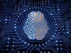 Алгоритм показал последствия изменения климата