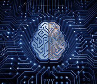 Алгоритм показал последствия изменения климата