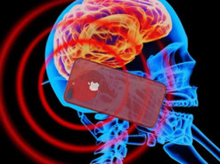 Назван уровень излучения пятнадцати популярных смартфонов 2020 года