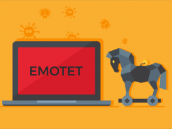 Спецоперация правоохранительных органов из 8 стран, включая Украину, остановила крупнейшую в мире ботнет-сеть