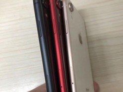 В Сети появились фотографии "дешевого" iPhone в трех цветах