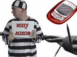 OLX-мошенник признался в суде, что научился «ремеслу», сидя за решеткой