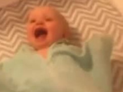 Малыш настолько эмоционально приветствовал кошку, что умилил Сеть