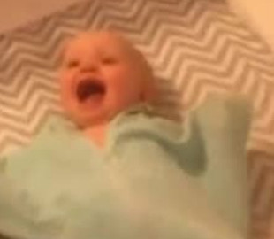 Малыш настолько эмоционально приветствовал кошку, что умилил Сеть