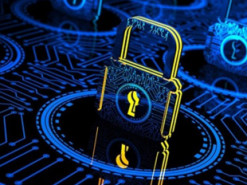 Українці, які втратили роботу через війну, зможуть безплатно пройти навчання з кібербезпеки