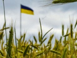 Бойові дії спричиняють «багато пожеж» на полях Херсонщини – ОК «Південь»