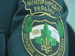 Госэкоинспекция планирует создать электронную систему фиксации нарушений
