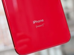 Появились новые фото iPhone Xc
