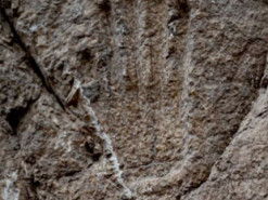 Привіт з минулого: у Єрусалимі знайшли таємничий відбиток руки