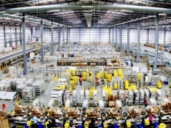 Amazon платит сотрудникам за нахваливание условий работы на складах