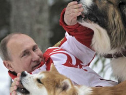 Фейкові сторінки Путіна та групи "суперфанатів": як пропаганда РФ обробляє Facebook