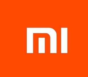 Некоторые инвесторы сомневаются в том, что выход Xiaomi на биржу будет соответствовать обещаниям компании