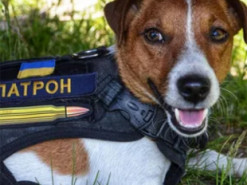 Пес Патрон спрогнозировал, когда закончится война с Россией (Фото)