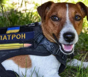 Пес Патрон спрогнозировал, когда закончится война с Россией (Фото)