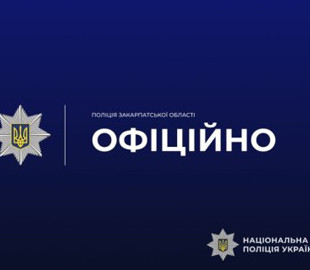 На Закарпатті поліція розпочала перевірку через жорстоке поводження з котами: зловмисника шукає кіберполіція
