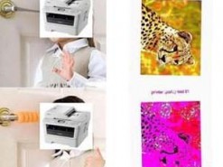 Влюбленный принтер: в Интернете набирает популярность новый мем