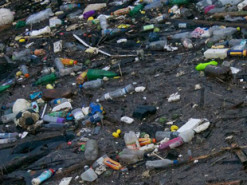 Онлайн-калькулятор поможет подсчитать свой вклад в пластиковое загрязнение планеты