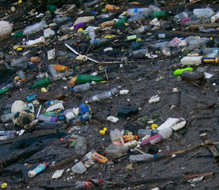 Онлайн-калькулятор поможет подсчитать свой вклад в пластиковое загрязнение планеты