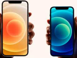 Apple прекратила выпуск iPhone XR, iPhone 12 Pro и iPhone 12 Pro Max