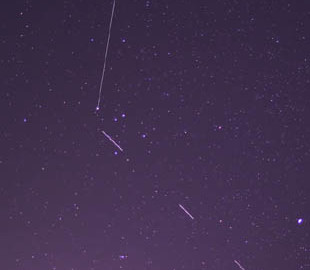 Спутники Илона Маска мешают астрономам наблюдать звезды