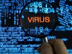 Обнаружен демонстрирующий детям порно вирус