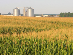 В США опасаются атак российских хакеров на сельское хозяйство страны