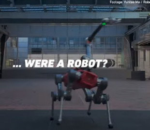 Швейцарський робот-собака навчився грати в бадмінтон із точністю людини