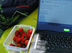 Как организовать мобильный интернет-доступ во время отпуска или карантина