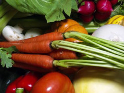 Украинцы смогут проверить органичность продуктов онлайн