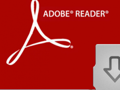 Выпущен временный патч для опасной уязвимости в Adobe Reader