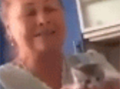 В Харькове киберполицию заинтересовало видео с котенком