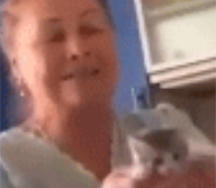 В Харькове киберполицию заинтересовало видео с котенком