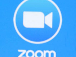 Чиновник выбросил кота во время Zoom-конференции и потерял работу