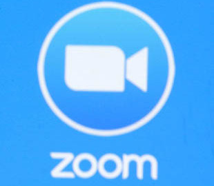 Чиновник выбросил кота во время Zoom-конференции и потерял работу