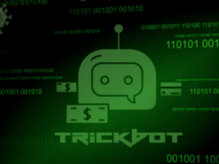 Оператором ботнета Trickbot оказалась 55-летняя женщина из Ростова-на-Дону
