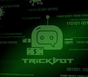 Оператором ботнета Trickbot оказалась 55-летняя женщина из Ростова-на-Дону