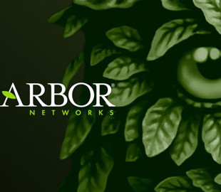 Россия потеряла доступ к сервису по борьбе с DDoS-атаками, - Минцифра