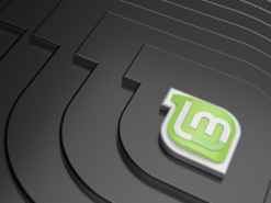 Готовится к выходу дистрибутив Linux Mint Debian 4