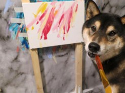 В Канаде пара научила своего пса рисовать и продает его картины в Интернете