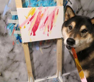 В Канаде пара научила своего пса рисовать и продает его картины в Интернете
